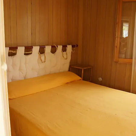 Zuccaro * 갈리폴리