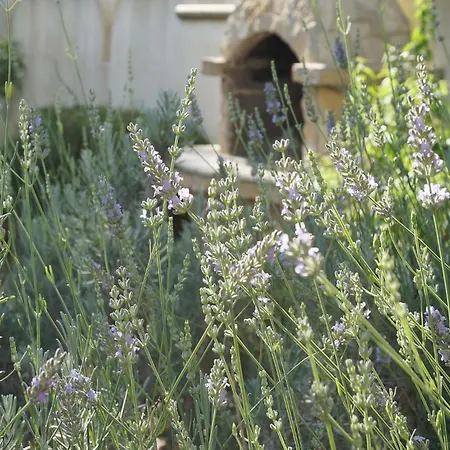 펜션 Zuccaro 갈리폴리