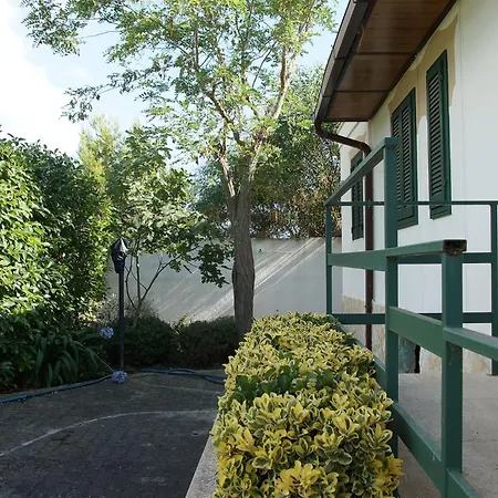 Zuccaro * 갈리폴리