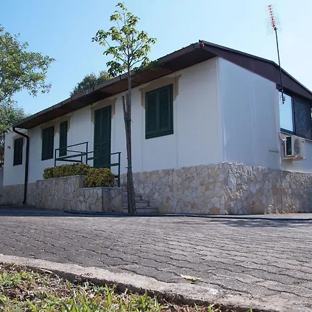 Zuccaro * 갈리폴리